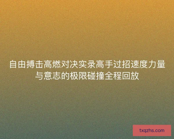自由搏击高燃对决实录高手过招速度力量与意志的极限碰撞全程回放