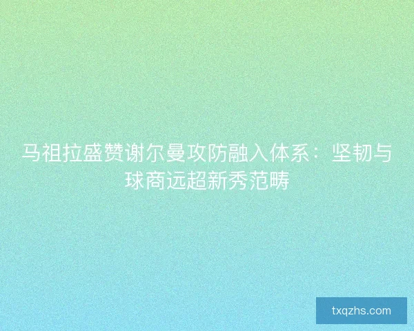 马祖拉盛赞谢尔曼攻防融入体系：坚韧与球商远超新秀范畴